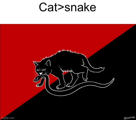 Cat>snake | made w/ Imgflip meme maker