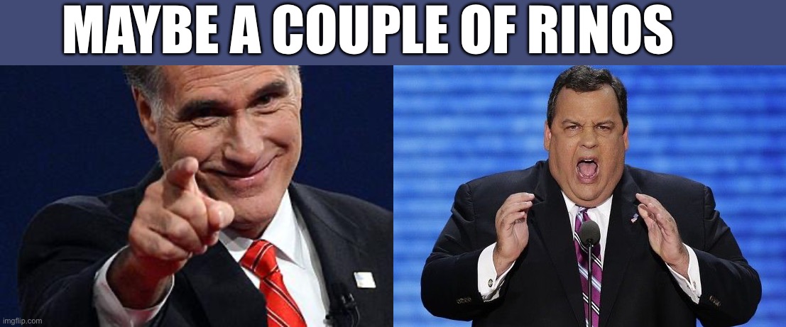 MAYBE A COUPLE OF RINOS | image tagged in mitt romney pointing,chris christie fat | made w/ Imgflip meme maker