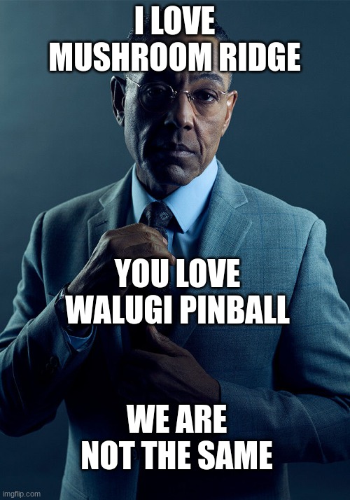 Gus Fring we are not the same | I LOVE MUSHROOM RIDGE; YOU LOVE WALUGI PINBALL; WE ARE NOT THE SAME | image tagged in gus fring we are not the same | made w/ Imgflip meme maker