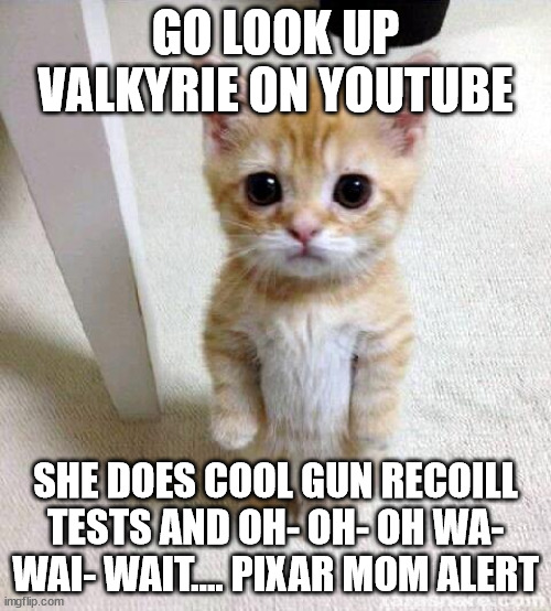 Cute Cat Meme | GO LOOK UP VALKYRIE ON YOUTUBE; SHE DOES COOL GUN RECOILL TESTS AND OH- OH- OH WA- WAI- WAIT.... PIXAR MOM ALERT | image tagged in memes,cute cat | made w/ Imgflip meme maker