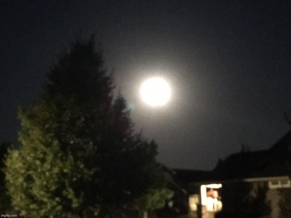 Super moon. It was so bright I could not get my phone to focus. | image tagged in photos | made w/ Imgflip meme maker