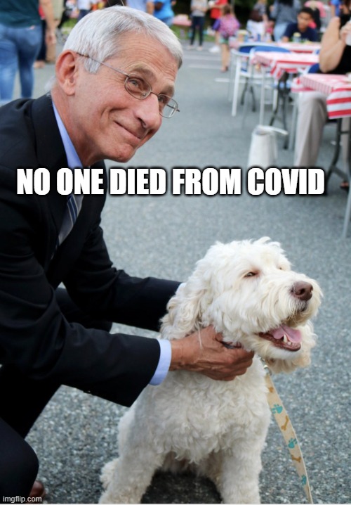 Fauci and his fetish | NO ONE DIED FROM COVID | image tagged in fauci and his fetish | made w/ Imgflip meme maker