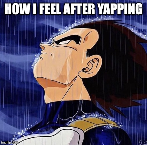 Vegeta in the rain | HOW I FEEL AFTER YAPPING | image tagged in vegeta in the rain | made w/ Imgflip meme maker