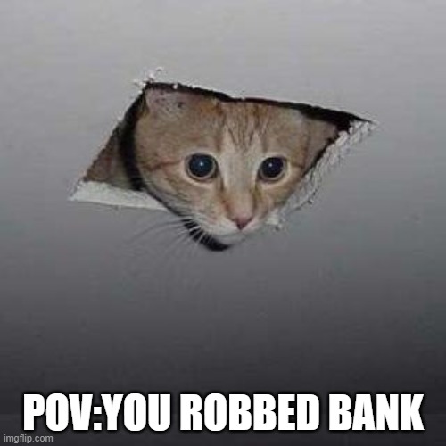 random memes #10 | POV:YOU ROBBED BANK | image tagged in memes,ceiling cat | made w/ Imgflip meme maker