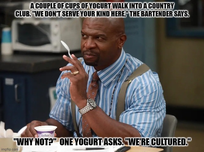 Daily Bad Dad Joke August 20, 2024 | A COUPLE OF CUPS OF YOGURT WALK INTO A COUNTRY CLUB. "WE DON'T SERVE YOUR KIND HERE," THE BARTENDER SAYS. "WHY NOT?"  ONE YOGURT ASKS. "WE'RE CULTURED." | image tagged in terry loves yogurt | made w/ Imgflip meme maker