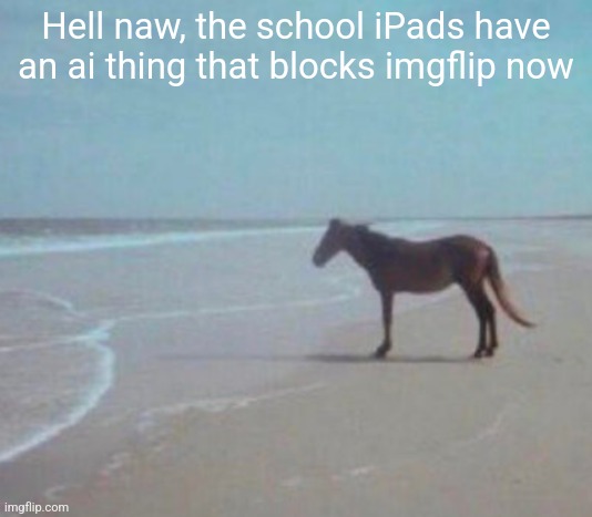 No way I'm surviving this school year bro | Hell naw, the school iPads have an ai thing that blocks imgflip now | image tagged in man | made w/ Imgflip meme maker