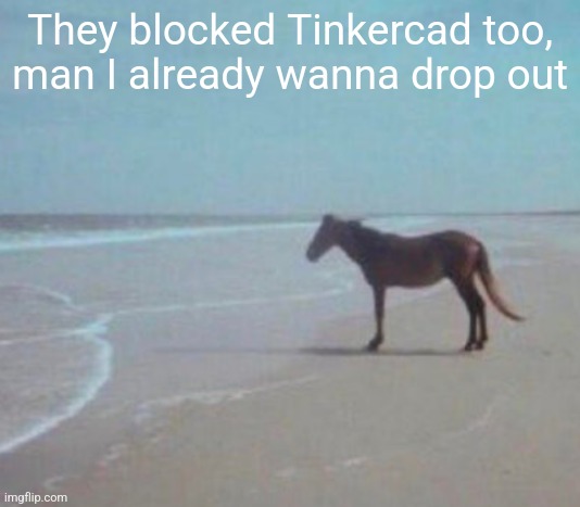 No more claire | They blocked Tinkercad too, man I already wanna drop out | image tagged in man | made w/ Imgflip meme maker