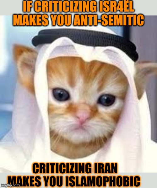 This #lolcat wonders why criticizing a government equals hating it's civilians | IF CRITICIZING ISR4ËL 
MAKES YOU ANTI-SEMITIC; CRITICIZING IRAN MAKES YOU ISLAMOPHOBIC | image tagged in hate,lolcat,religion,islamophobia,antisemitism | made w/ Imgflip meme maker