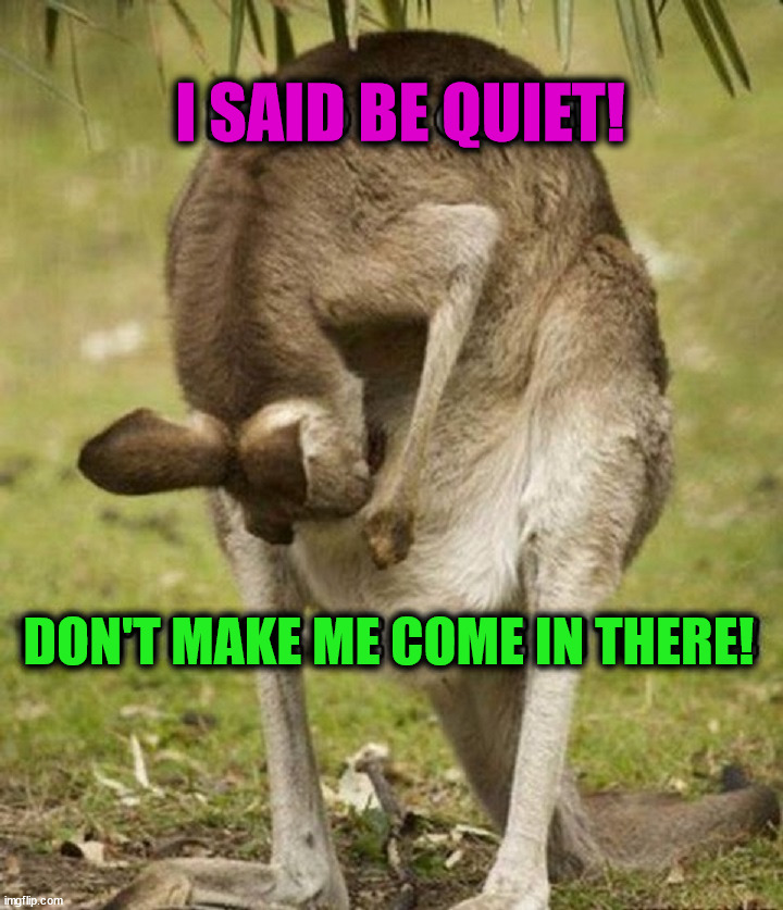 Kangaroo pocket | I SAID BE QUIET! DON'T MAKE ME COME IN THERE! | image tagged in wholesome | made w/ Imgflip meme maker