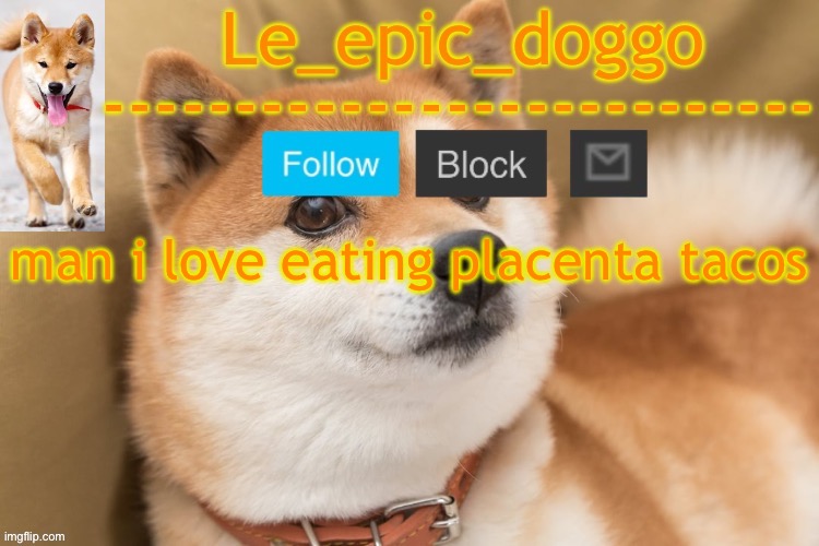 epic doggo's temp back in old fashion | man i love eating placenta tacos | image tagged in epic doggo's temp back in old fashion | made w/ Imgflip meme maker