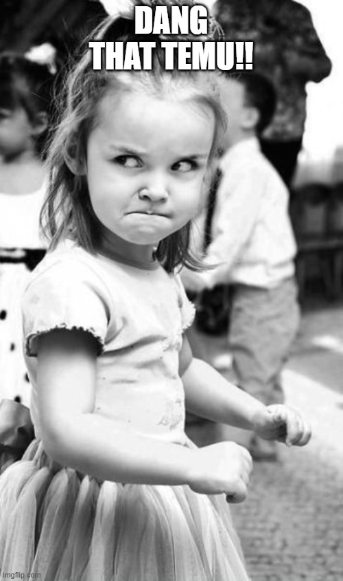 Angry Toddler Meme | DANG THAT TEMU!! | image tagged in memes,angry toddler | made w/ Imgflip meme maker