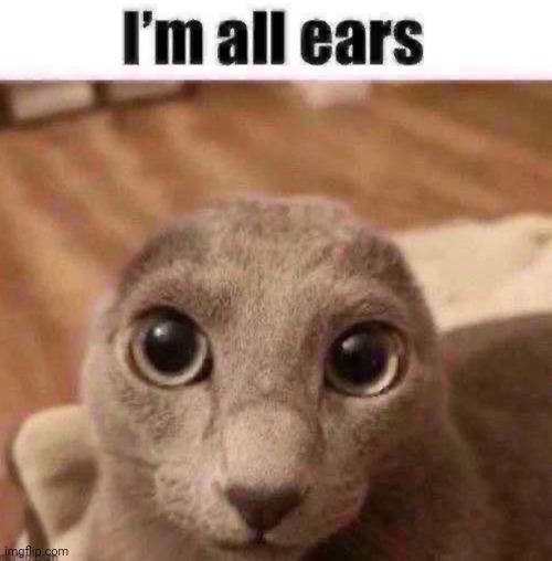 I’m all ears | image tagged in i m all ears | made w/ Imgflip meme maker