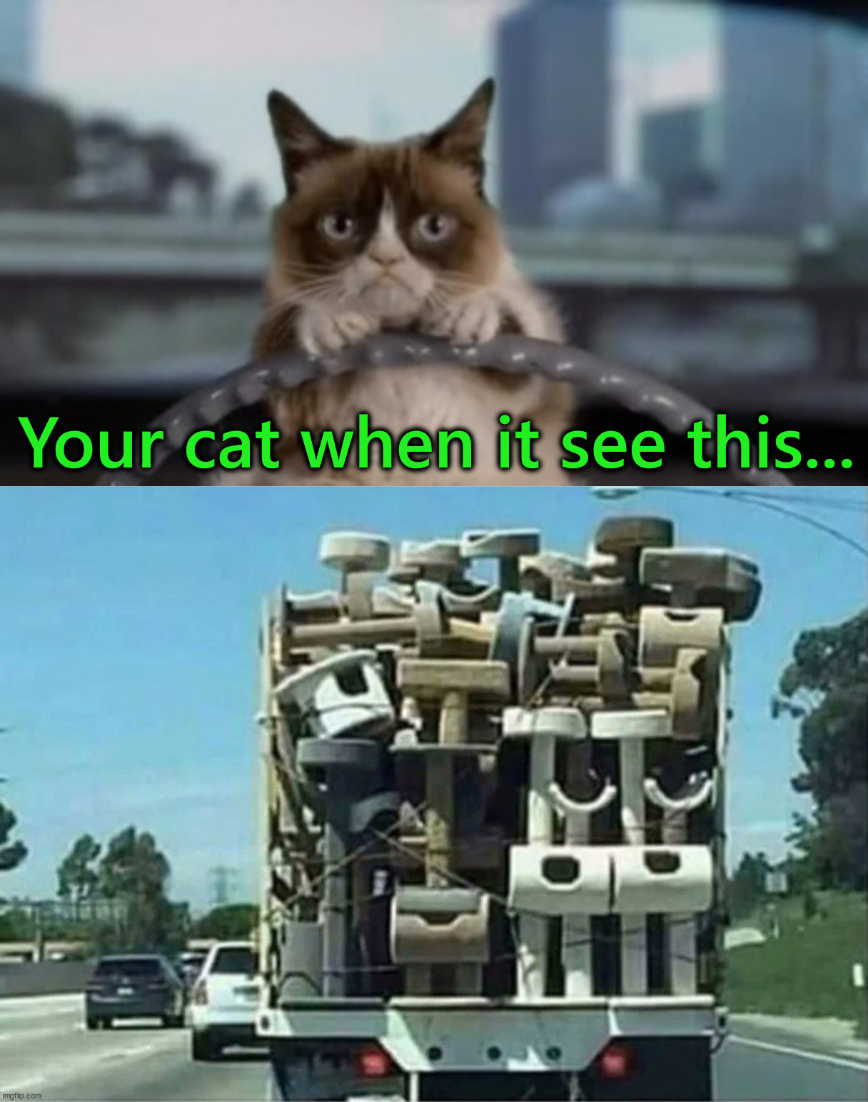 So many towers | Your cat when it see this... | image tagged in grumpy cat driving,cat tree,house | made w/ Imgflip meme maker