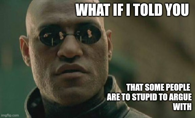 Don't argue | WHAT IF I TOLD YOU; THAT SOME PEOPLE 
ARE TO STUPID TO ARGUE
WITH | image tagged in memes,matrix morpheus | made w/ Imgflip meme maker