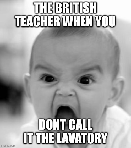 So true | THE BRITISH TEACHER WHEN YOU; DON’T T CALL IT THE LAVATORY | image tagged in memes,angry baby | made w/ Imgflip meme maker