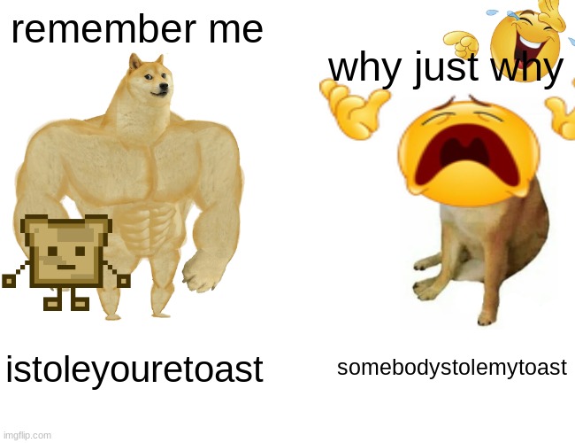 roblox usernames.. | remember me; why just why; istoleyouretoast; somebodystolemytoast | image tagged in memes,buff doge vs cheems | made w/ Imgflip meme maker