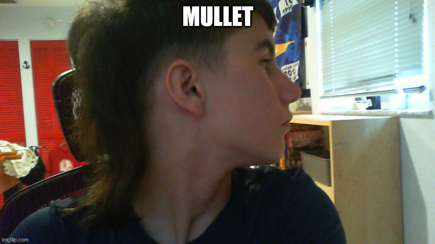 m u l l e t | MULLET | made w/ Imgflip meme maker