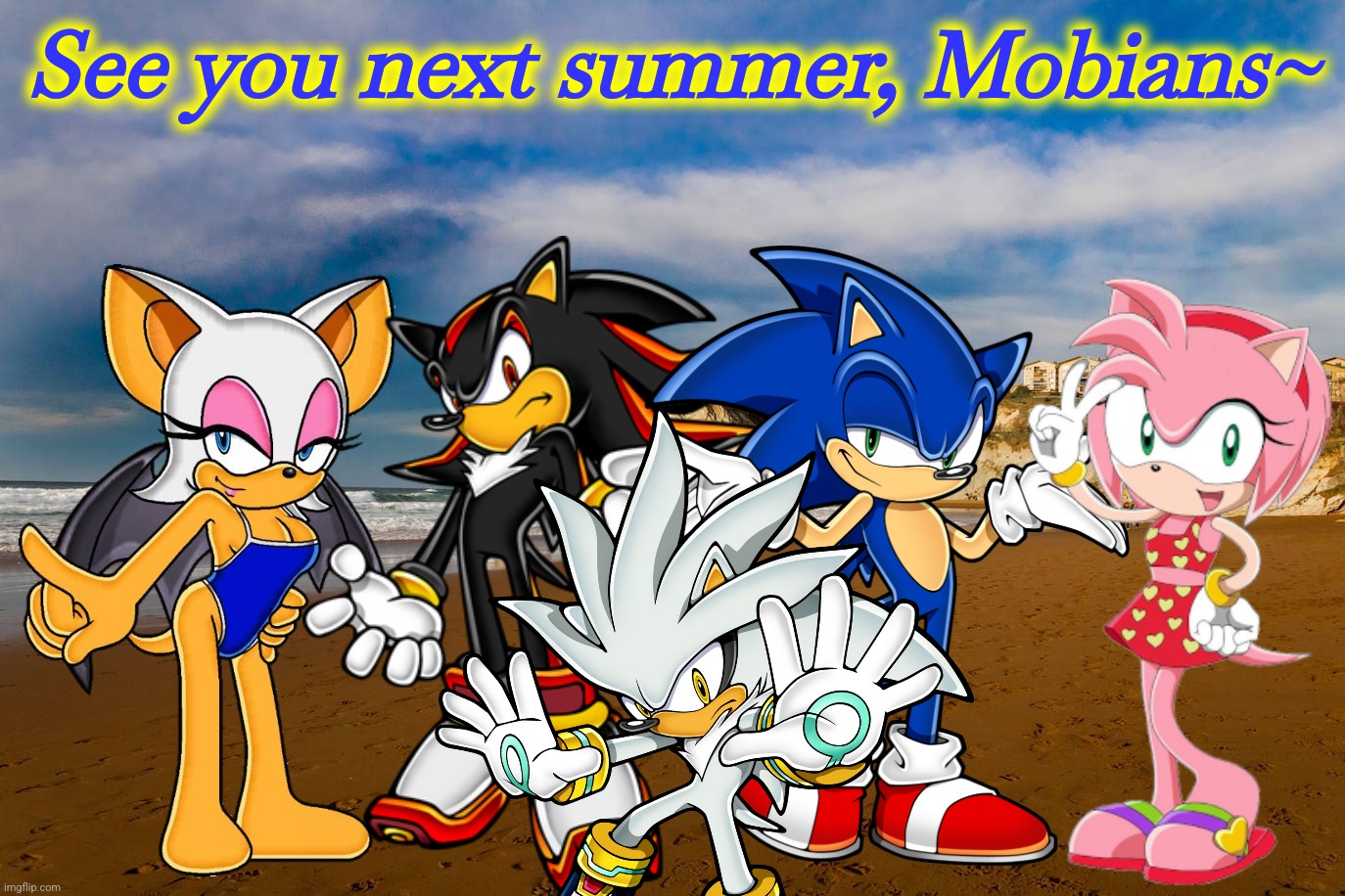 The Sonic Speed Team at a beach in Sopela, Spain. | See you next summer, Mobians~ | image tagged in sonic,summer,spain | made w/ Imgflip meme maker