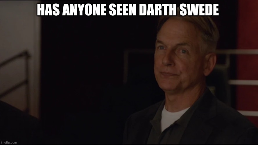 gibbs | HAS ANYONE SEEN DARTH SWEDE | image tagged in gibbs | made w/ Imgflip meme maker