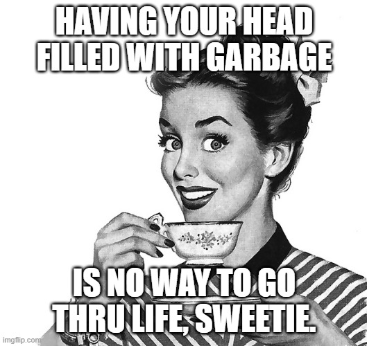 50s woman | HAVING YOUR HEAD FILLED WITH GARBAGE IS NO WAY TO GO THRU LIFE, SWEETIE. | image tagged in 50s woman | made w/ Imgflip meme maker