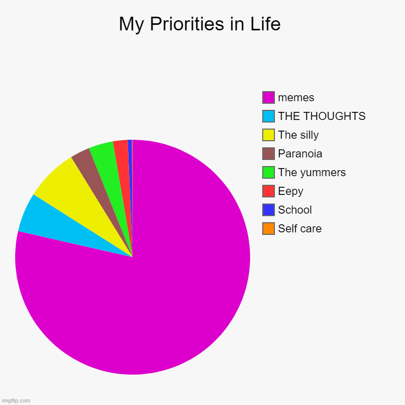 w or l chat | My Priorities in Life | Self care, School, Eepy, The yummers, Paranoia, The silly, THE THOUGHTS, memes | image tagged in charts,pie charts | made w/ Imgflip chart maker