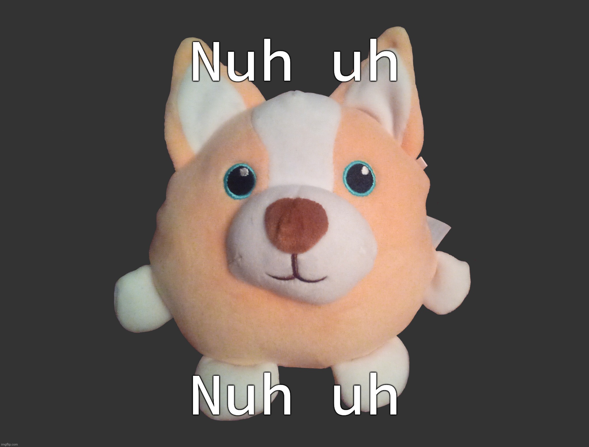 Corgibol Plush comment version | Nuh uh Nuh uh | image tagged in corgibol plush comment version | made w/ Imgflip meme maker