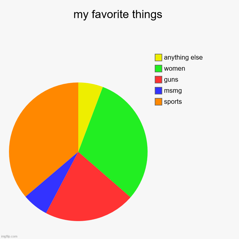 my favorite things | sports, msmg, guns, women, anything else | image tagged in charts,pie charts | made w/ Imgflip chart maker