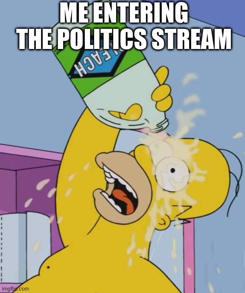 Why do they act like this? | ME ENTERING THE POLITICS STREAM | image tagged in homer with bleach,politics suck | made w/ Imgflip meme maker