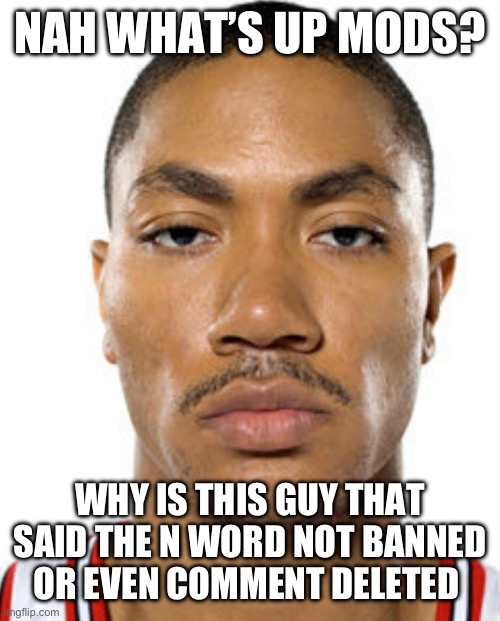 Wasn’t the hard r, but still the n word which idk is allowed on msmg apparently | NAH WHAT’S UP MODS? WHY IS THIS GUY THAT SAID THE N WORD NOT BANNED OR EVEN COMMENT DELETED | image tagged in derrick rose straight face | made w/ Imgflip meme maker