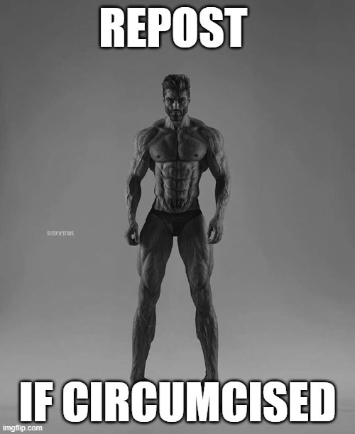 repost if circumcised | image tagged in repost if circumcised | made w/ Imgflip meme maker