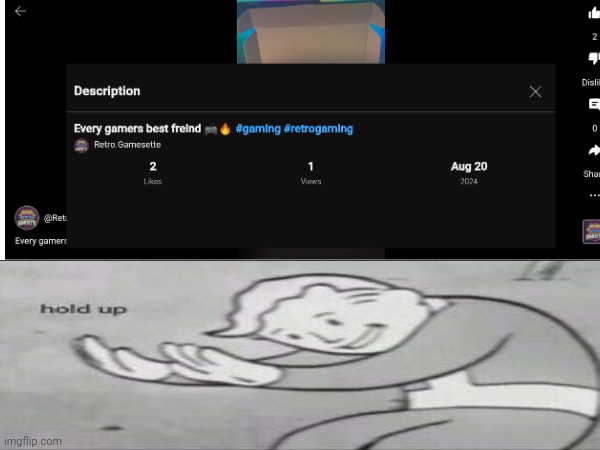 Wait, WHAT? | image tagged in memes,funny,fallout hold up,youtube,views,what | made w/ Imgflip meme maker