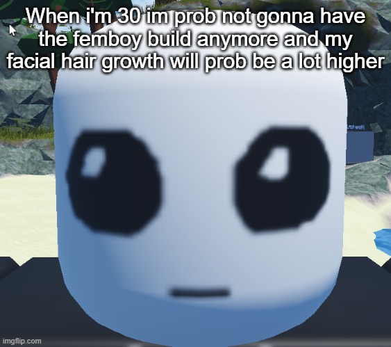 TBH creature Roblox | When i'm 30 im prob not gonna have the femboy build anymore and my facial hair growth will prob be a lot higher | image tagged in tbh creature roblox | made w/ Imgflip meme maker