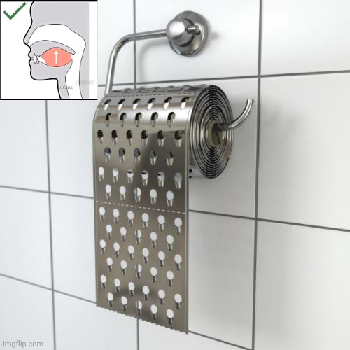 ㅤ | image tagged in metal toilet paper,mewing | made w/ Imgflip meme maker