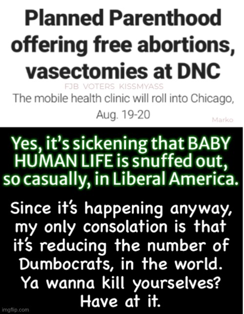 They’re not known for a high IQ.  Nor for having values, principles, or morals. | image tagged in memes,the party of lie cheat steal,n baby killing,abortionist demonrats,leftists progressives fjb voters kissmyass | made w/ Imgflip meme maker