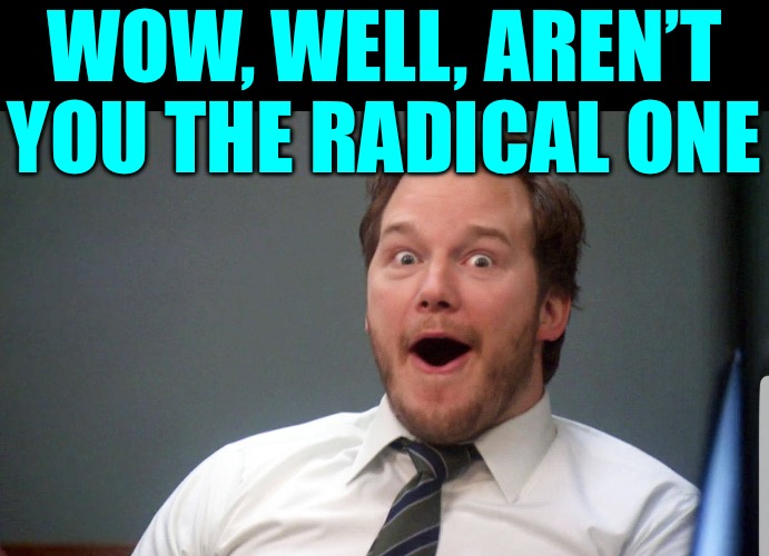 Wow face | WOW, WELL, AREN’T YOU THE RADICAL ONE | image tagged in wow face | made w/ Imgflip meme maker