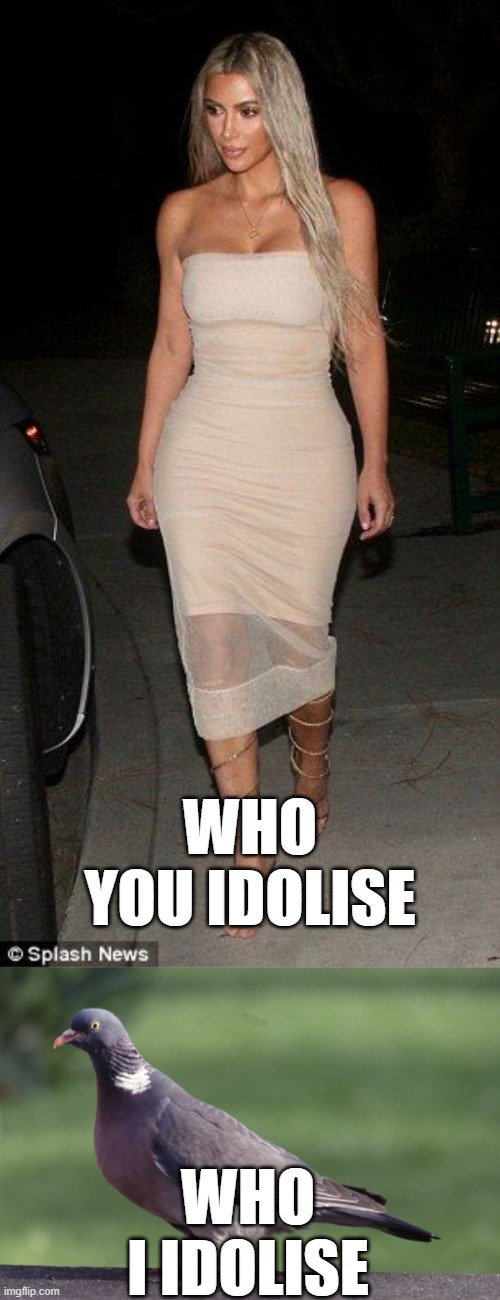 WHO YOU IDOLISE; WHO I IDOLISE | image tagged in pigeon,kim kardashian | made w/ Imgflip meme maker