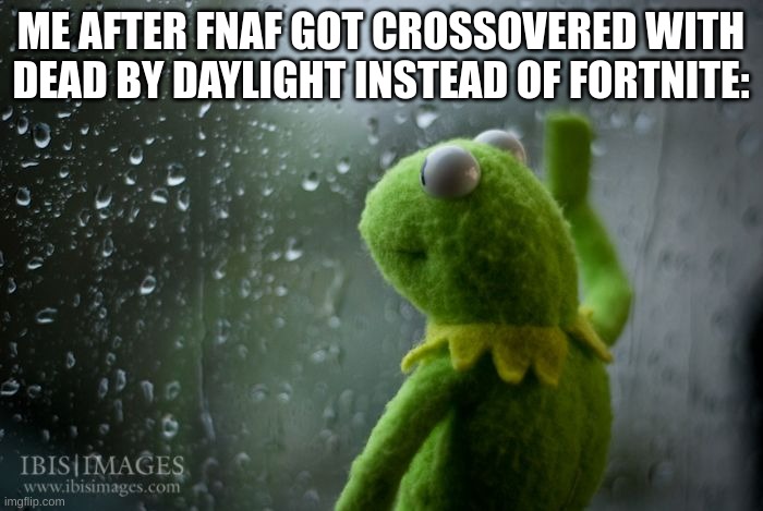 kermit window | ME AFTER FNAF GOT CROSSOVERED WITH DEAD BY DAYLIGHT INSTEAD OF FORTNITE: | image tagged in kermit window | made w/ Imgflip meme maker