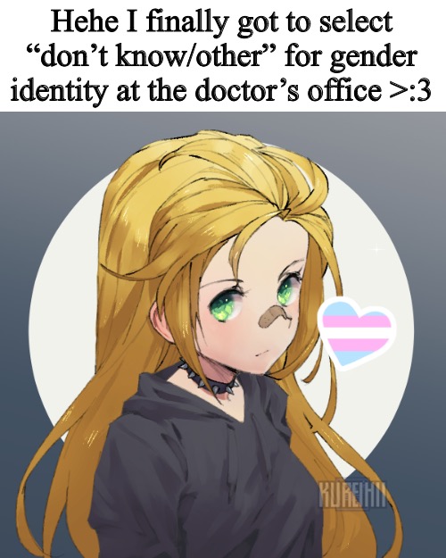 Holly but I feel a little trans today | Hehe I finally got to select “don’t know/other” for gender identity at the doctor’s office >:3 | image tagged in holly but i feel a little trans today | made w/ Imgflip meme maker