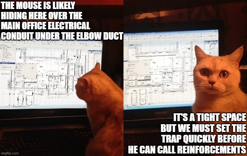 Colonel Kitty Puff Issues Tactical Maneuvers | THE MOUSE IS LIKELY HIDING HERE OVER THE MAIN OFFICE ELECTRICAL CONDUIT UNDER THE ELBOW DUCT; IT'S A TIGHT SPACE BUT WE MUST SET THE TRAP QUICKLY BEFORE HE CAN CALL REINFORCEMENTS | image tagged in andrzej to jebnie,military,tactical,cat,cute cat | made w/ Imgflip meme maker