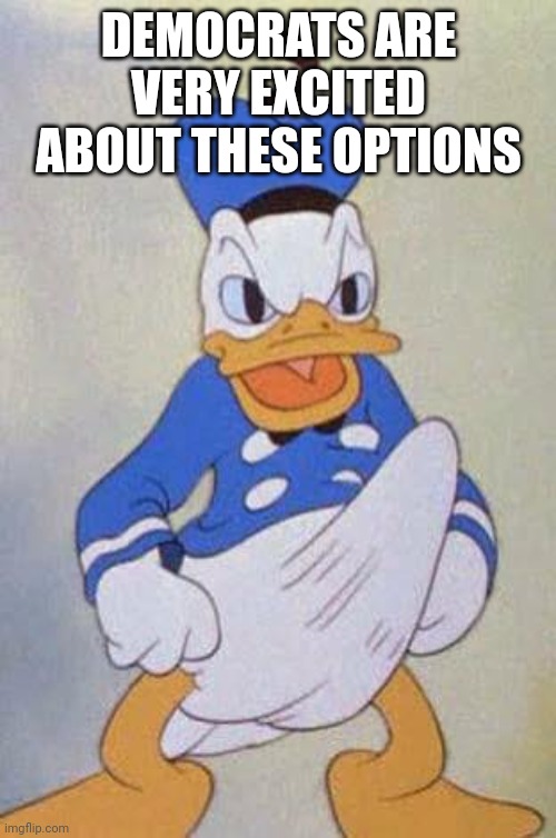 Horny Donald Duck | DEMOCRATS ARE VERY EXCITED ABOUT THESE OPTIONS | image tagged in horny donald duck | made w/ Imgflip meme maker