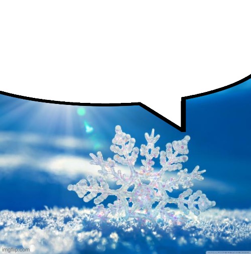 High Quality Snowflake speech bubble Blank Meme Template