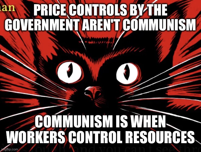 Sabo tabby | PRICE CONTROLS BY THE GOVERNMENT AREN'T COMMUNISM COMMUNISM IS WHEN WORKERS CONTROL RESOURCES | image tagged in sabo tabby | made w/ Imgflip meme maker