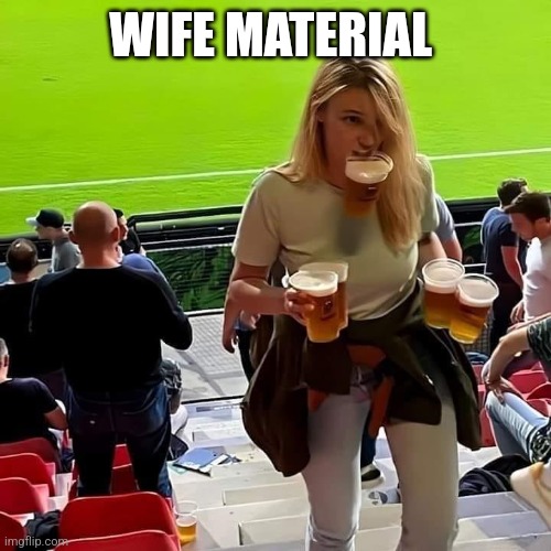 Wife Material | WIFE MATERIAL | image tagged in wife,beer | made w/ Imgflip meme maker