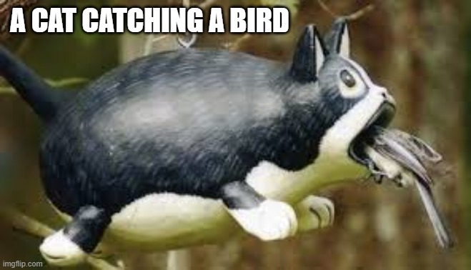 memes by Brad - A cat catching a bird, sort of | A CAT CATCHING A BIRD | image tagged in funny,cats,birds,kittens,funny cat memes,humor | made w/ Imgflip meme maker