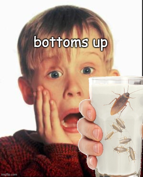 Home Alone Kid  | bottoms up | image tagged in home alone kid | made w/ Imgflip meme maker