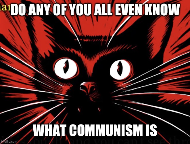 Sabo tabby wants to know if you know what communism is | DO ANY OF YOU ALL EVEN KNOW; WHAT COMMUNISM IS | image tagged in sabo tabby,communism,communist,leftist | made w/ Imgflip meme maker