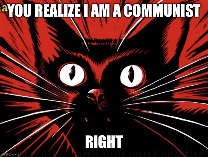 Sabo tabby | YOU REALIZE I AM A COMMUNIST RIGHT | image tagged in sabo tabby | made w/ Imgflip meme maker