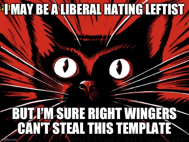 Sabo tabby | I MAY BE A LIBERAL HATING LEFTIST BUT I'M SURE RIGHT WINGERS CAN'T STEAL THIS TEMPLATE | image tagged in sabo tabby | made w/ Imgflip meme maker