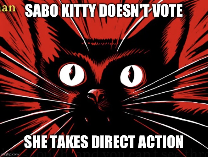 Sabo tabby | SABO KITTY DOESN'T VOTE SHE TAKES DIRECT ACTION | image tagged in sabo tabby | made w/ Imgflip meme maker