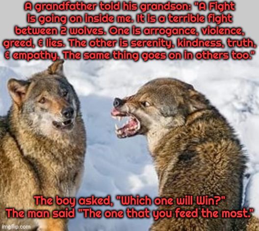 A Cherokee fable. | A grandfather told his grandson: "A Fight
is going on inside me. It is a terrible fight between 2 wolves. One is arrogance, violence, greed, & lies. The other is serenity, kindness, truth,
& empathy. The same thing goes on in others too."; The boy asked, "Which one will Win?" The man said "The one that you feed the most." | image tagged in wolves,inner me,morality,doing the right things,the hardest choices require the strongest wills | made w/ Imgflip meme maker